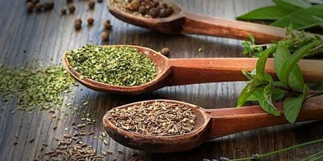 The Rise of Gourmet Street Food: Trends and Top Picks