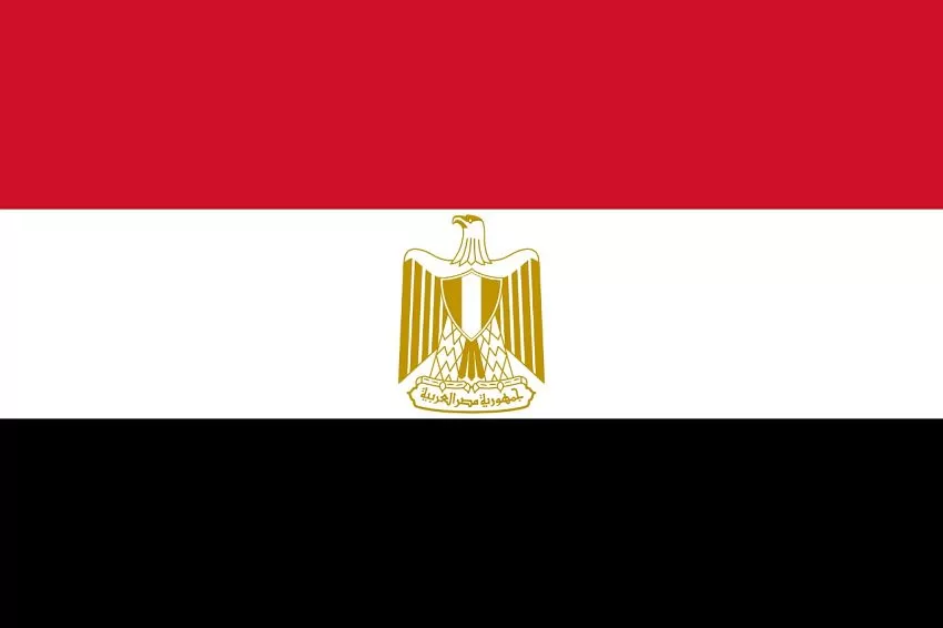 مصر تفوز بعضوية مجلس حقوق الإنسان التابع للأمم المتحدة