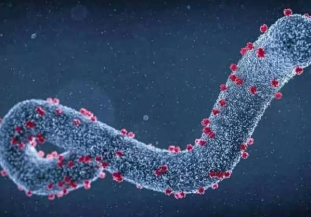 "اليمن أكثر عرضه للخطر"...فيروس يضرب إثيوبيا وسط وفيات وتحذيرات من انتشاره